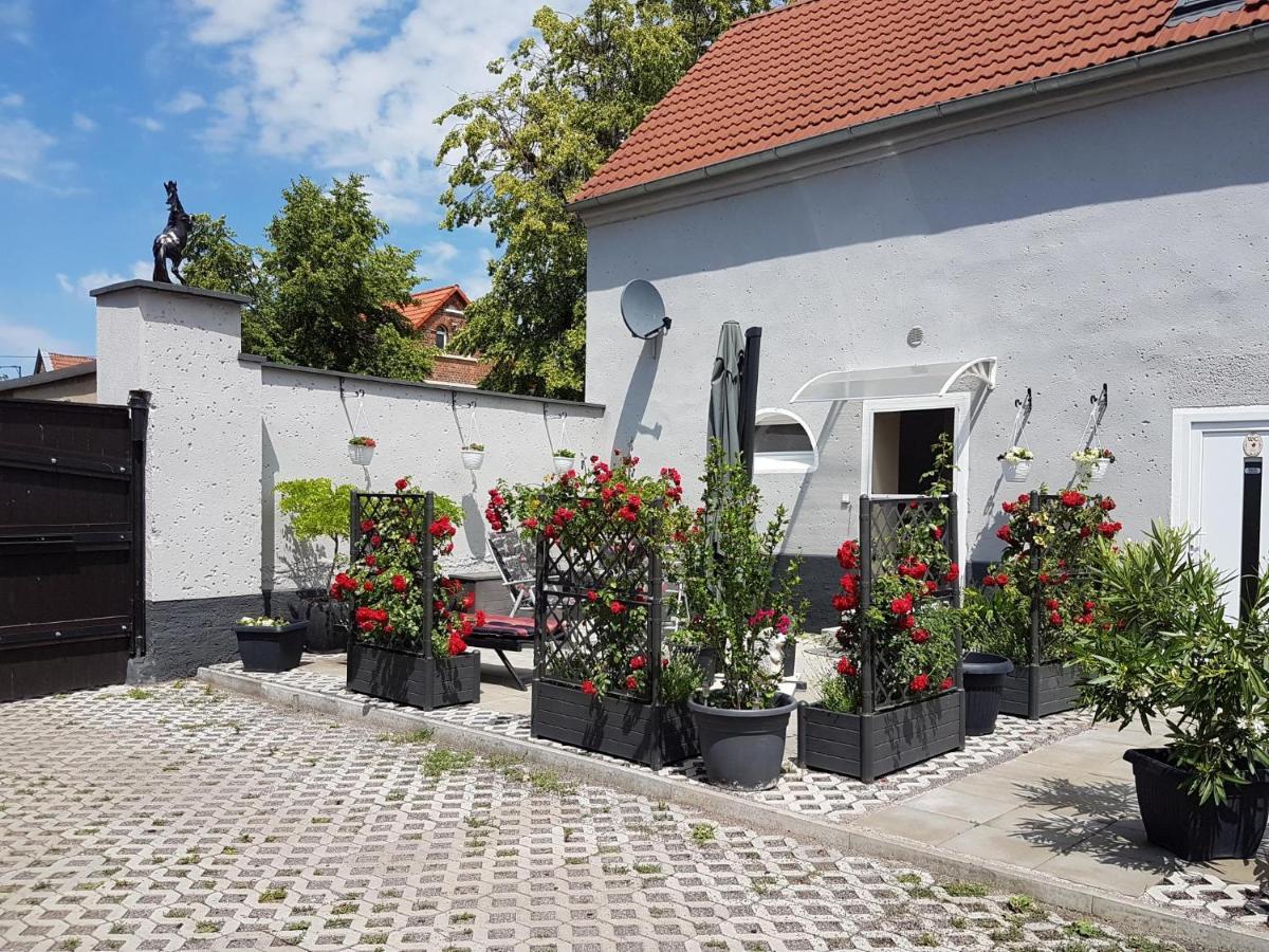 Pferdepension Jaeger Markranstaedt Exterior photo